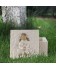 Resin Animal Pet Urn Angel Dog Cat Memorial Cremation Universal Funeral Casket Case