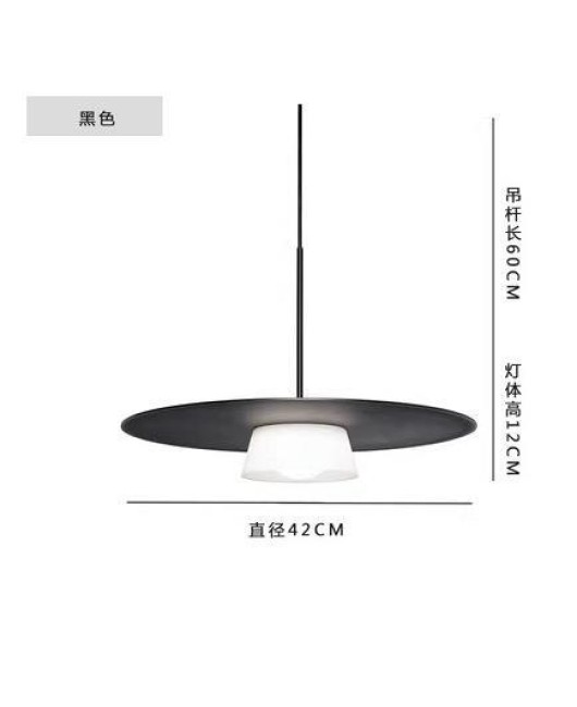 Nordic minimalist creative circular light, coffee shop exhibition hall, restaurant pendant light, bedroom island pendant light, designer of homestay light