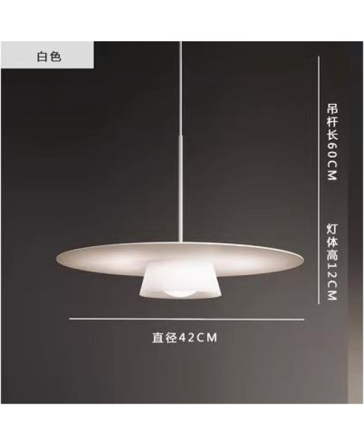 Nordic minimalist creative circular light, coffee shop exhibition hall, restaurant pendant light, bedroom island pendant light, designer of homestay light