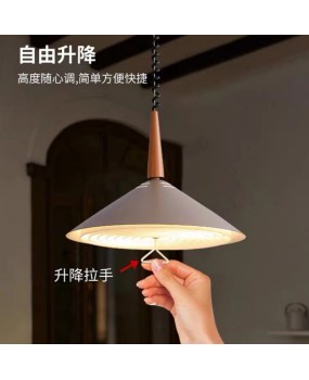 Nordic Stretchable Pendant Light, Simple Living Room and Bedroom, Creative Designer, Surprising and Silent Wind, Internet Celebrity, Elevating LED Restaurant Light