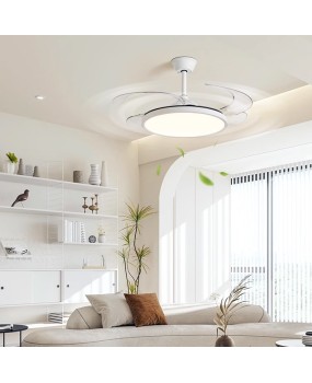 Extremely simple full spectrum fan light, ultra-thin LED invisible eye protection, living room, dining room, bedroom, silent electric fan, fan, pendant light