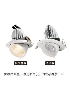 Elephant trunk lamp embedded 4000K35 watt anti glare high display clothing store specific spotlight 40W three color variable light