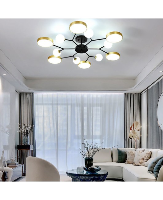 Nordic lighting fixtures, living room lights, hall ceiling lights, creative simplicity, home use bedroom LED small unit dining room ceiling lights