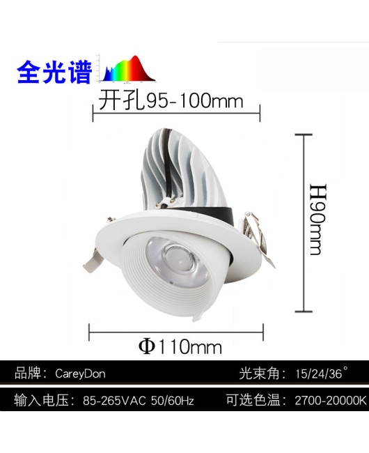 Elephant trunk lamp embedded 4000K35 watt anti glare high display clothing store specific spotlight 40W three color variable light