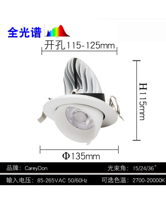 Elephant trunk lamp embedded 4000K35 watt anti glare high display clothing store specific spotlight 40W three color variable light