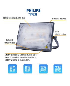 BVP173/174 Waterproof Projection Philips Projection Light 100W150W Tunnel Tree Landscape LED Flood Light