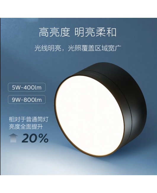 Circular minimalist commercial 9w Philips surface mounted tube light corridor ceiling foyer no opening ceiling suspended tube light