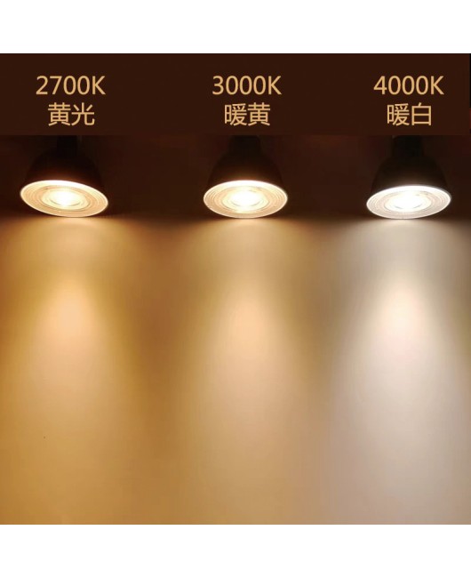 Philips 6.5W7.5W flagship 12V LED lamp cup MR16 spotlight LED single lamp GU5.3 hotel villa photo