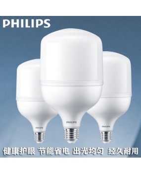 Philips Lighting e40 screw high-power bulb low ceiling workshop plastic wrapped aluminum industrial style LED bulb light