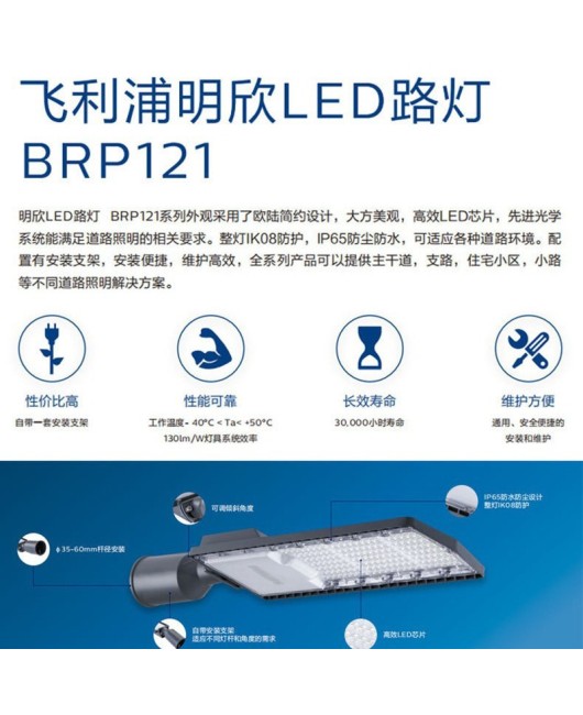 BRP121 outdoor floodlight street lamp head 100W die cast Philips module street lamp LED street lamp head