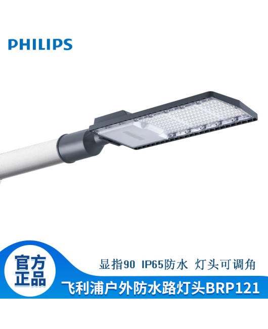 BRP121 outdoor floodlight street lamp head 100W die cast Philips module street lamp LED street lamp head