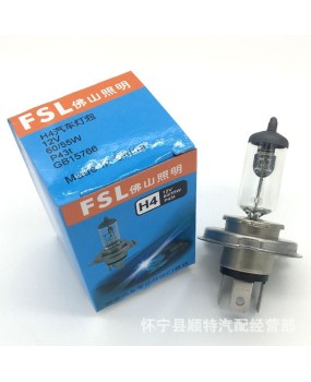 Foshan lighting car bulb H4 12V60/55W high beam low beam bulb car headlight halogen P43T