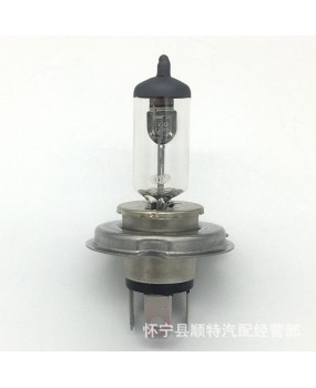 Foshan lighting car bulb H4 12V60/55W high beam low beam bulb car headlight halogen P43T