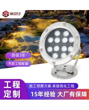 LED Underwater Light Outdoor Waterproof Colorful RGB Pool Landscape Light Fish Pool Light Remote Control Low Voltage 24V Fountain Spotlight