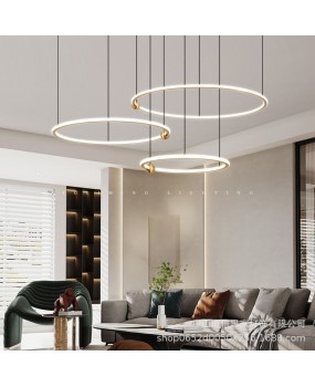 All copper Nordic modern minimalist Italian lighting, living room lighting, dining room hanging wire lighting, circular pendant light