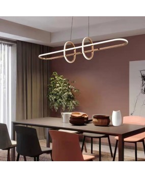 Modern minimalist luxury high-end designer stainless steel wind and fire wheel dining room living room bedroom pendant light energy-saving