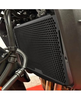 Suitable for Yamaha MT-09 2017-2020 modified water tank network, water tank cover, radiator protection net