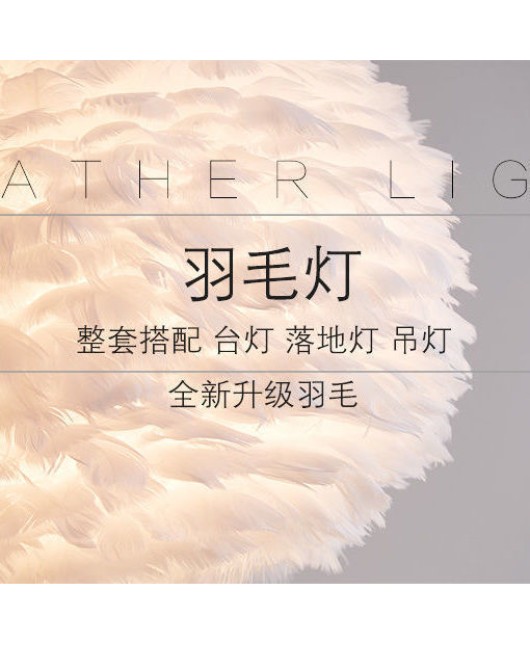 Nordic light luxury wind internet celebrity live broadcast decoration fur lamp ins for girls, warm and romantic bedroom headboard feather table lamp