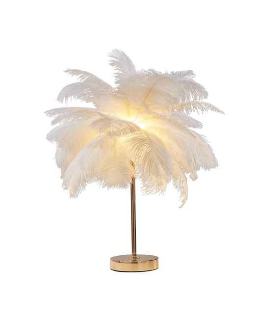 Feather desk lamp ins, romantic and warm bedroom lamp for girls, wedding room, internet red light, coconut tree, ostrich feather floor lamp