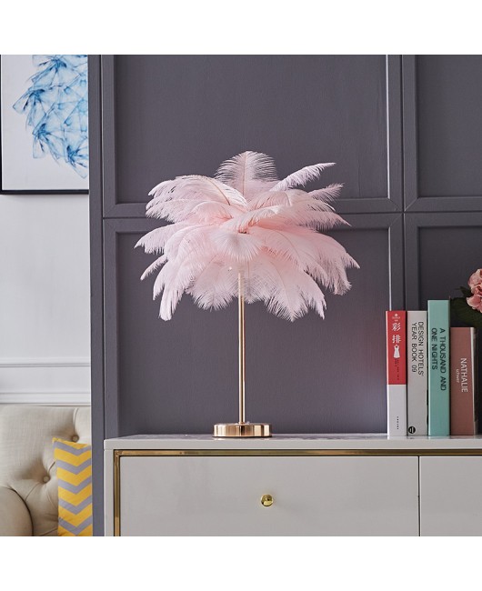 Feather desk lamp ins, romantic and warm bedroom lamp for girls, wedding room, internet red light, coconut tree, ostrich feather floor lamp