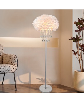 Feather floor lamp, Nordic light luxury atmosphere, crystal decorative lamp, modern creative and warm vertical corner living room lamp