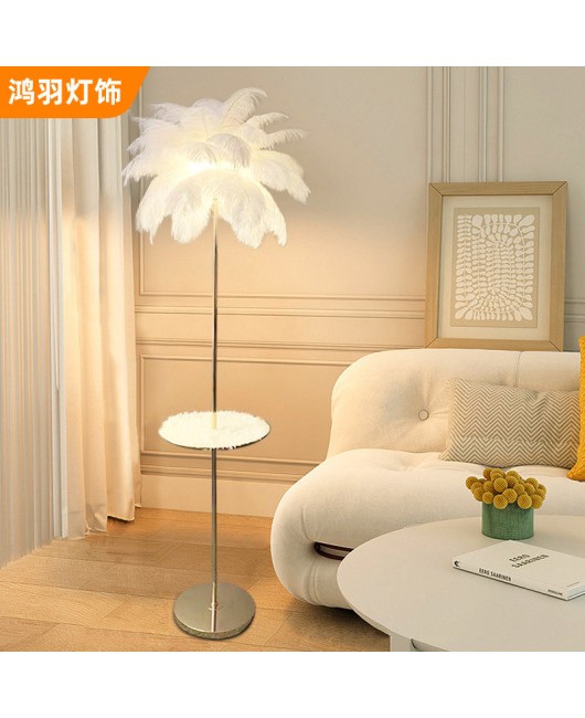 Feather lighting fixtures, bedroom headboard combination, light luxury feather floor lamp, living room sofa lamp, atmosphere floor lamp wholesale