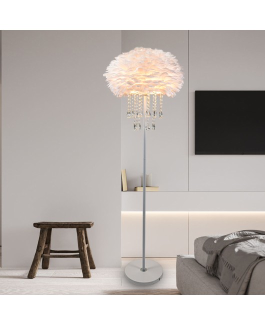 Feather floor lamp, Nordic light luxury atmosphere, crystal decorative lamp, modern creative and warm vertical corner living room lamp