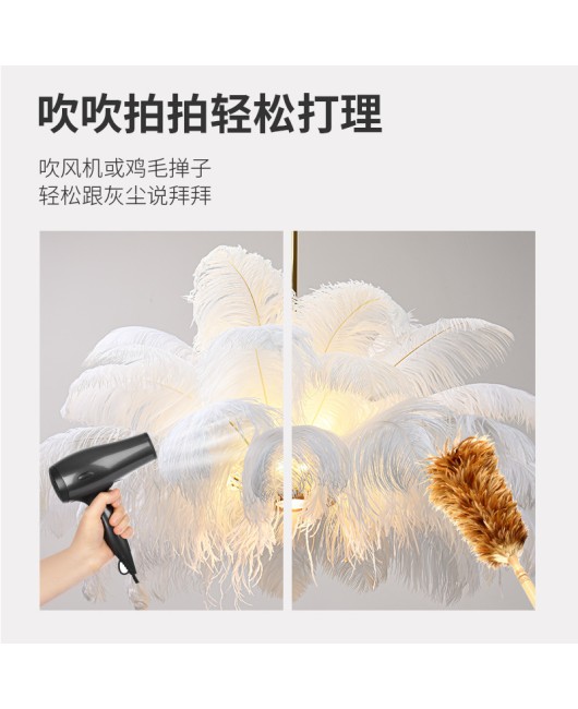 Manufacturer's direct sale of postmodern creative LED feather pendant lights, hotel clubs, living rooms, bedrooms, pendant lights, feather lights wholesale