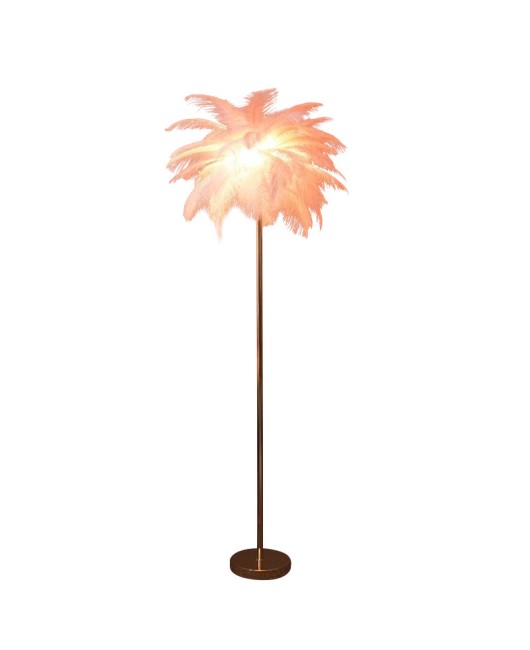 Feather lamp, floor lamp, ins style living room lamp, Nordic light luxury home decoration lamp, live broadcast room decoration floor lamp, cross-border