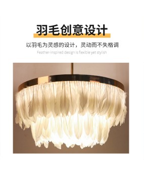 Popular live streaming room, internet famous pendant light, Nordic postmodern creative LED feather pendant light, hotel living room, bedroom lighting fixtures