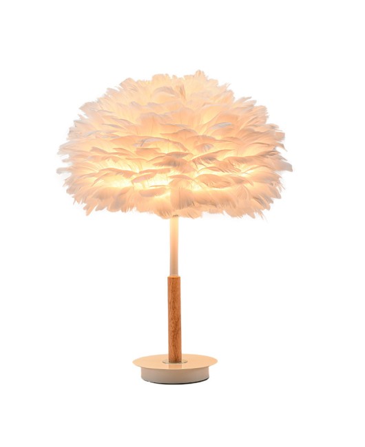 Girl bedroom decoration simple modern desktop desk lamp light luxury new house decoration feather lamp wholesale