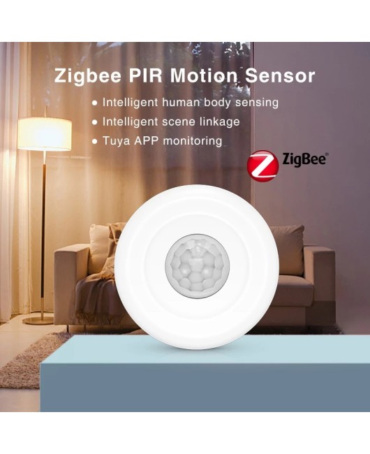 Graffiti Smart Zigbee 3.0 Intrusion Infrared Sensor Tuya Human Motion Detector PIR Sensor