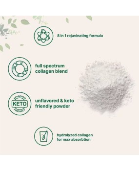 Spot TK popular collagen powder Multi Collagen Peptides manufacturer supports 0EM