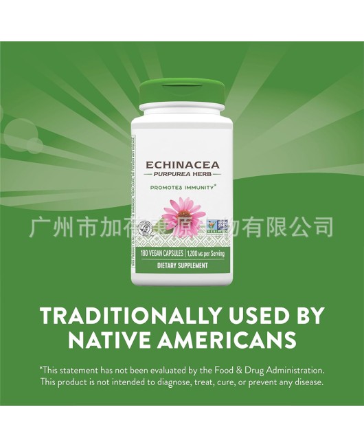 Cross border sales of Echinacea Capsules, foreign trade orders for Echinacea Capsules, OEM production source manufacturer